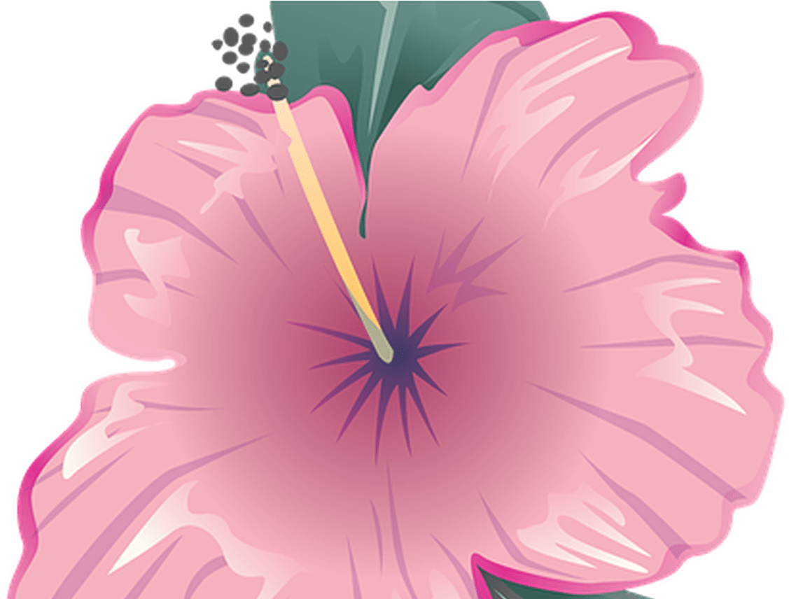 Flower Icon Symbol Free Image On Pixabay - Flower (1368x855), Png Download