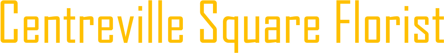 Together Forever By Teleflora In Centreville Va - Background Instrumentals 1 - Cd (1695x564), Png Download