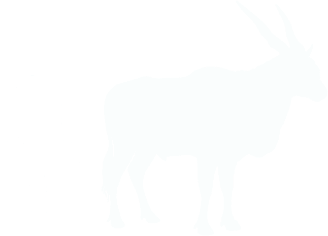 Common Eland And Human (800x600), Png Download