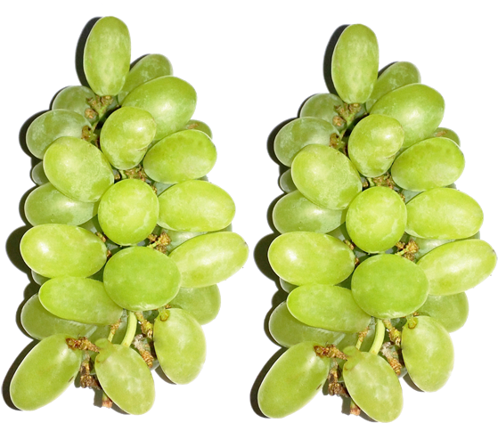 Bunch Of Grapes Large Png File - Grape (750x530), Png Download