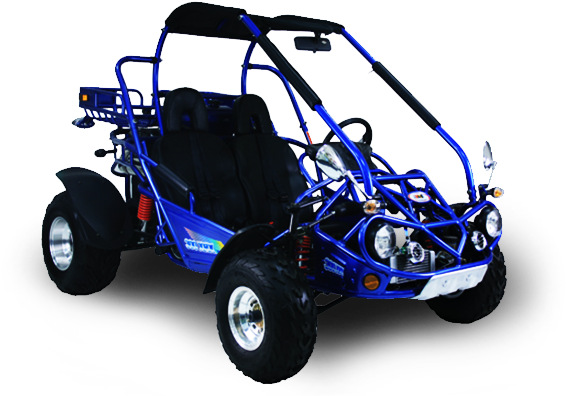 Trailmaster 300 Xrx Go Kart With Reverse - Trailmaster Xrx 300 (600x450), Png Download