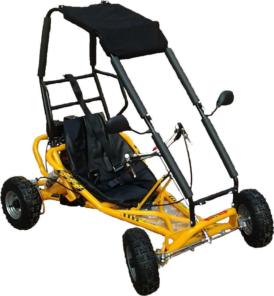 Download Standard Go Kart With Roll Cage Off Road Petrol Go Karts