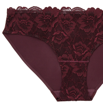 Lace Front Seamless Bikini - Panties (450x600), Png Download