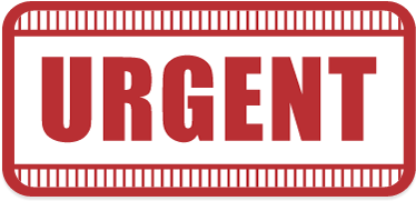 $10 - - Best Positive Thought For The Day (384x384), Png Download