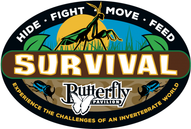 Survivor China (768x484), Png Download