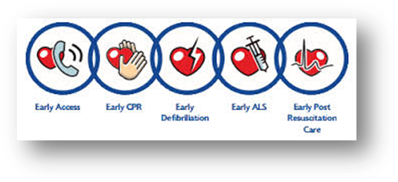 Chain Of Survival - Chain Of Survival 2016 (582x273), Png Download