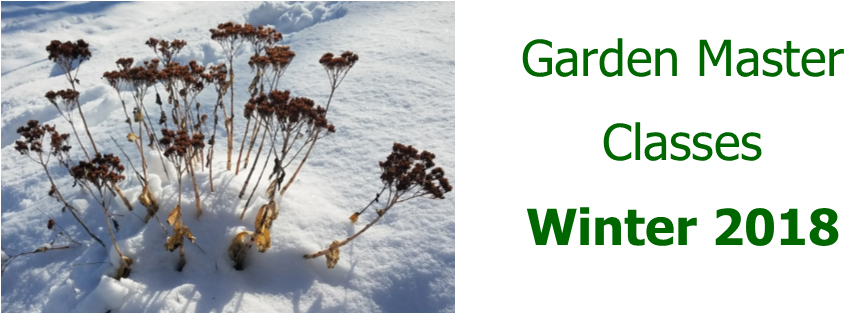 Garden Master Class Catalog Winter 2018 - Snow (899x313), Png Download