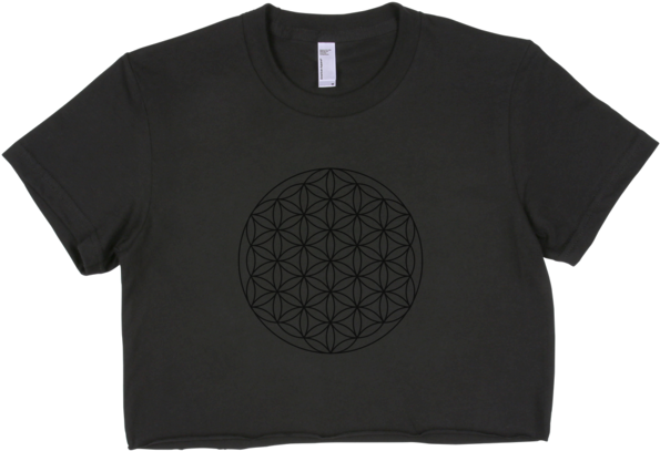 Flower Of Life Women's Short Sleeve Crop Top - He Ain T My President (600x600), Png Download
