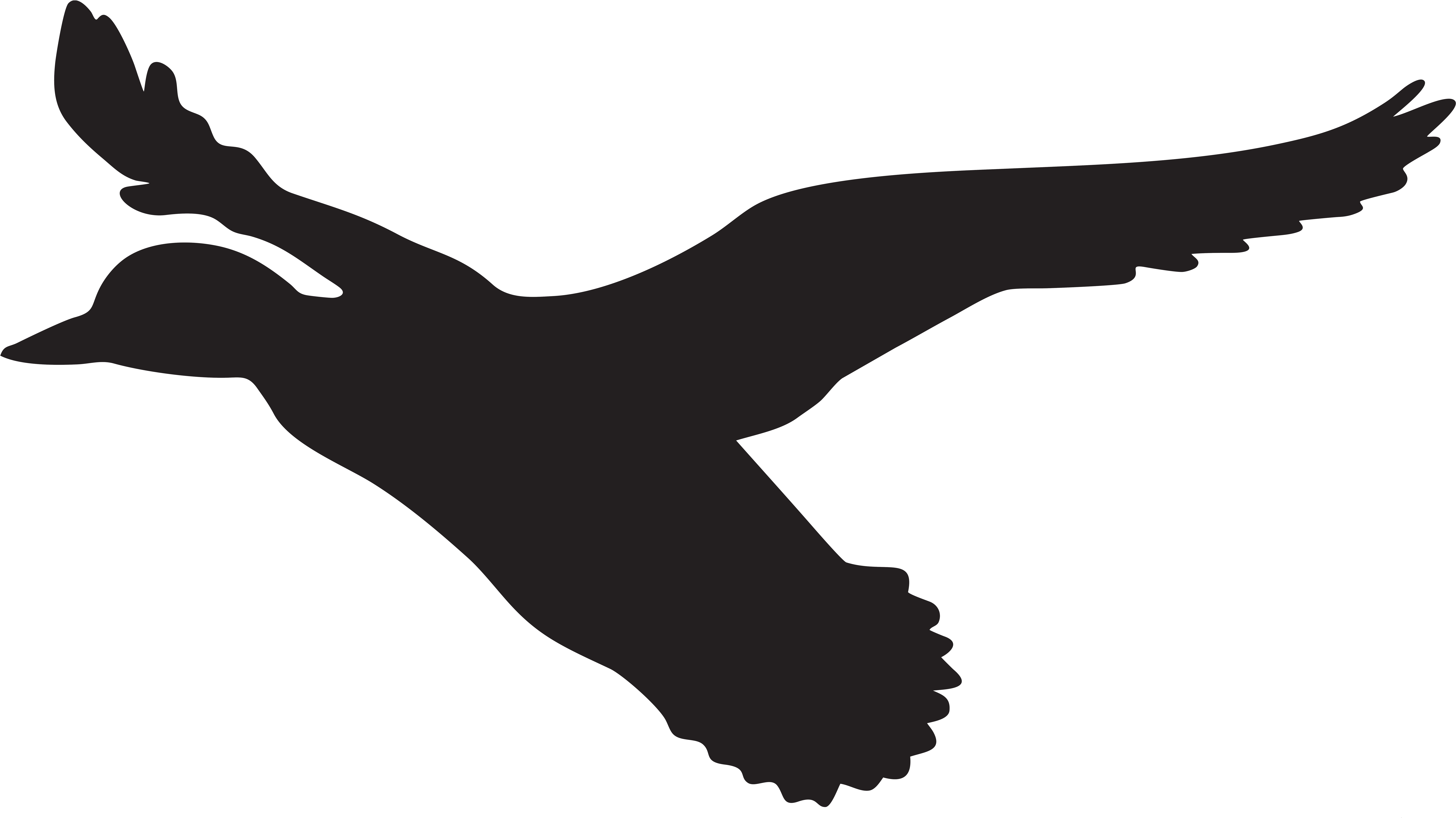 Download Flying Duck Cliparts - Flying Ducks Silhouette Png PNG Image ...