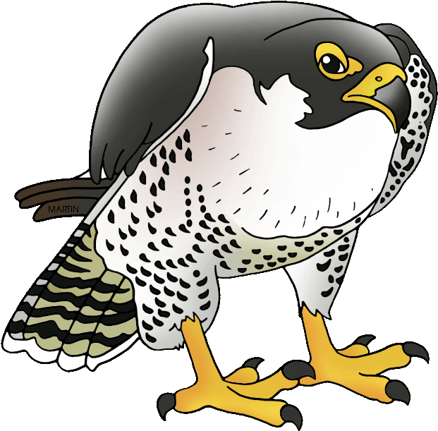 Atlanta Falcons Clipart Atlanta Falcons Clipart Falcon - Falcon Clipart (648x637), Png Download