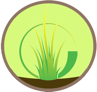 Ornamental Grasses - Circle (397x379), Png Download