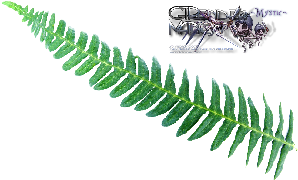 Liked Like Share - Clip Art (1024x768), Png Download