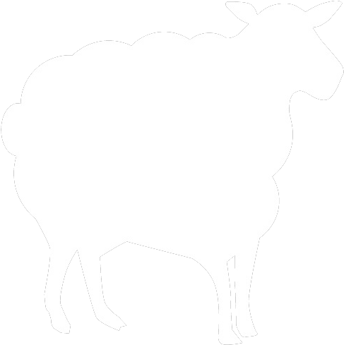 White Sheep Png Download - Black Sheep Van (522x544), Png Download