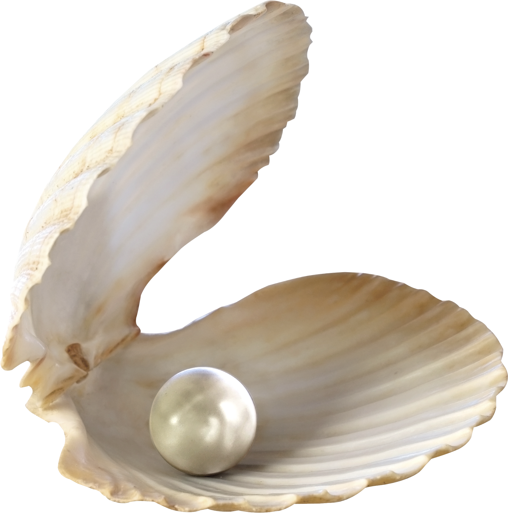 Pearls Of Wisdom: 30 Inspirational Ideas To Live Your (1800x2029), Png Download