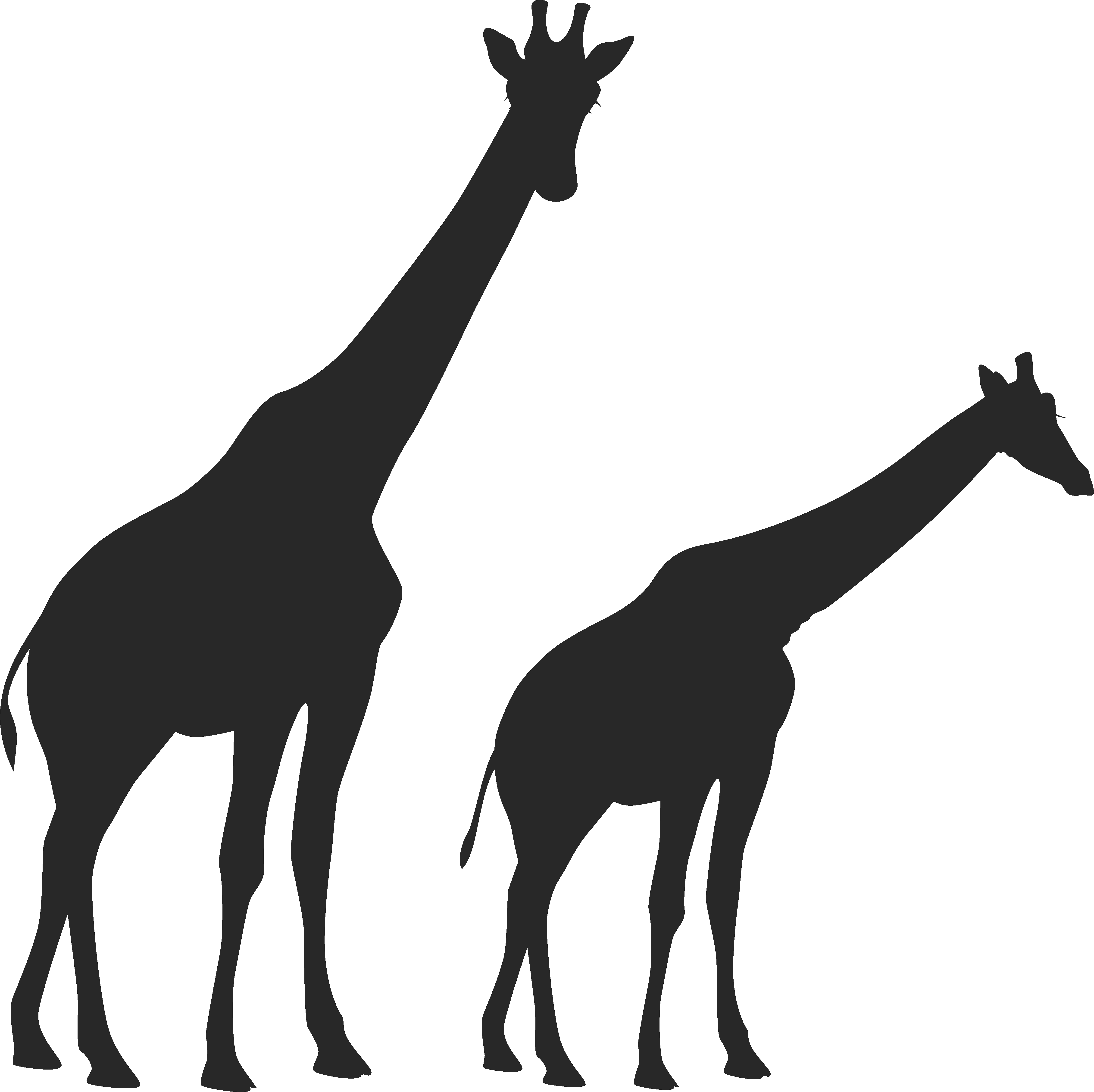 Image Freeuse Huge Freebie Download For - Transparent Giraffe Silhouette (4726x4718), Png Download