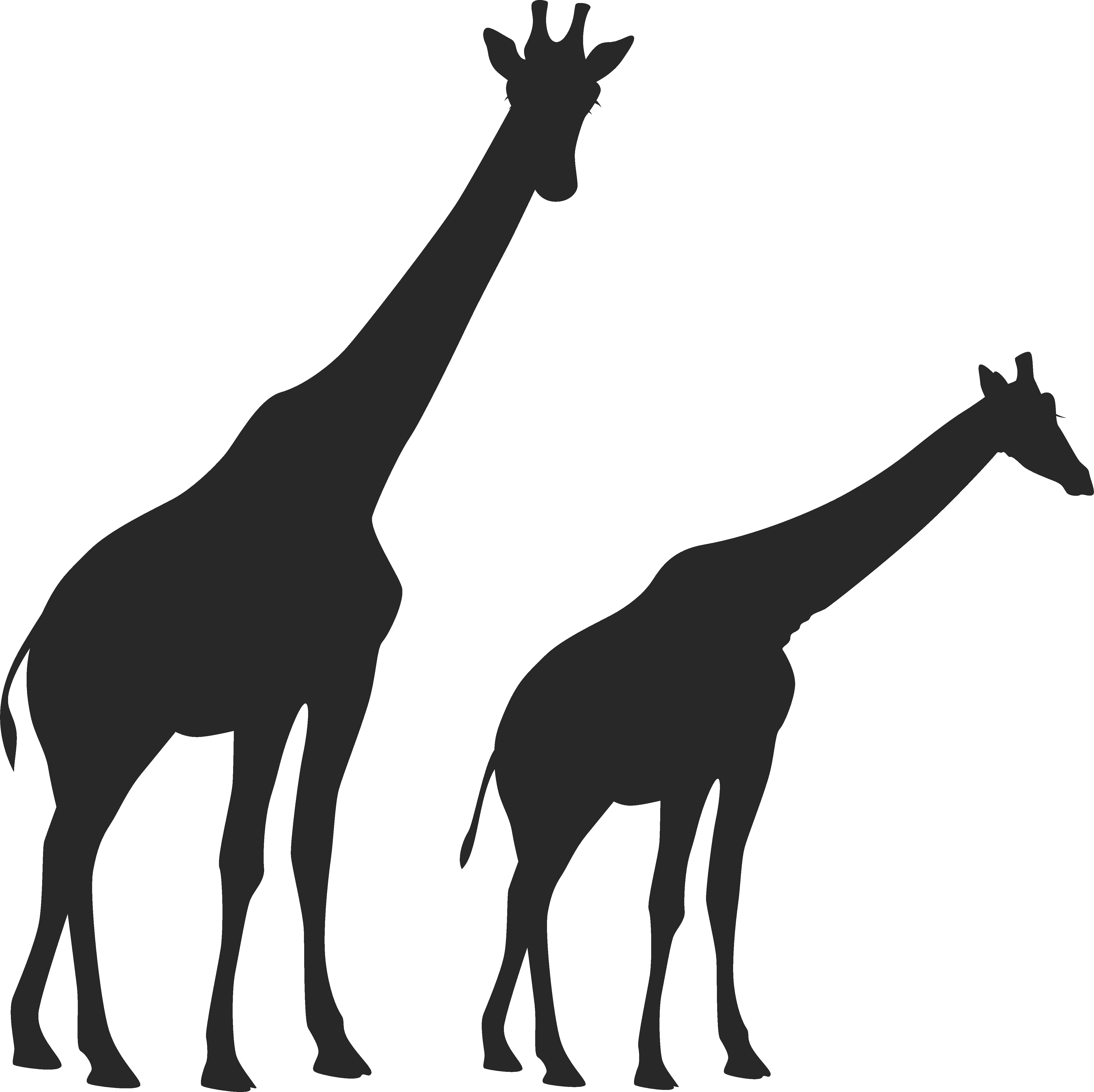 Download Image Freeuse Huge Freebie Download For - Transparent Giraffe