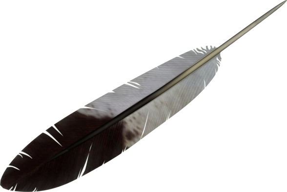 Download - Transparent Background Feather Clipart (588x393), Png Download