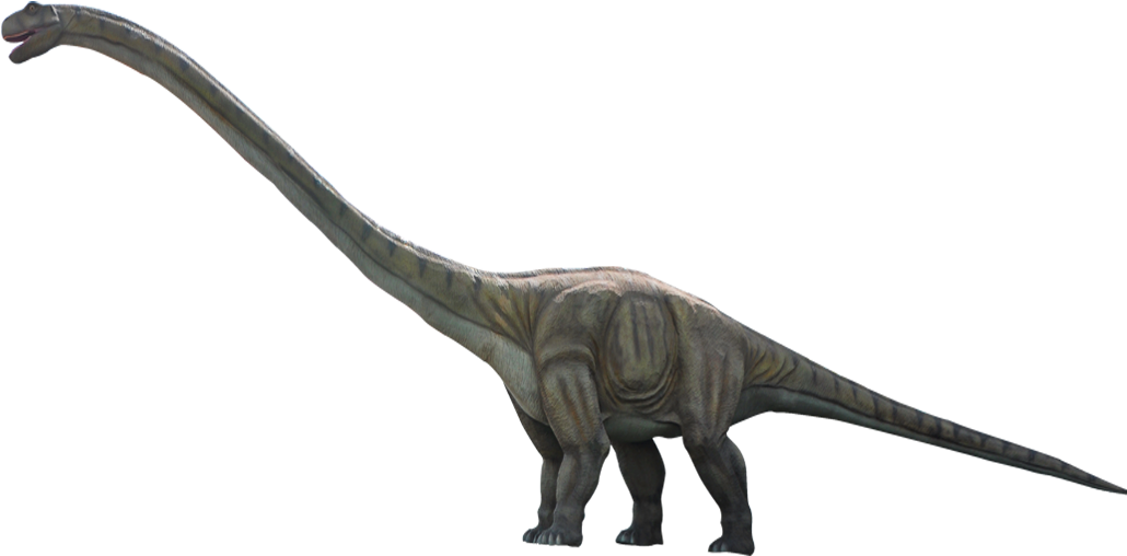 Dinosaur Png (1036x539), Png Download