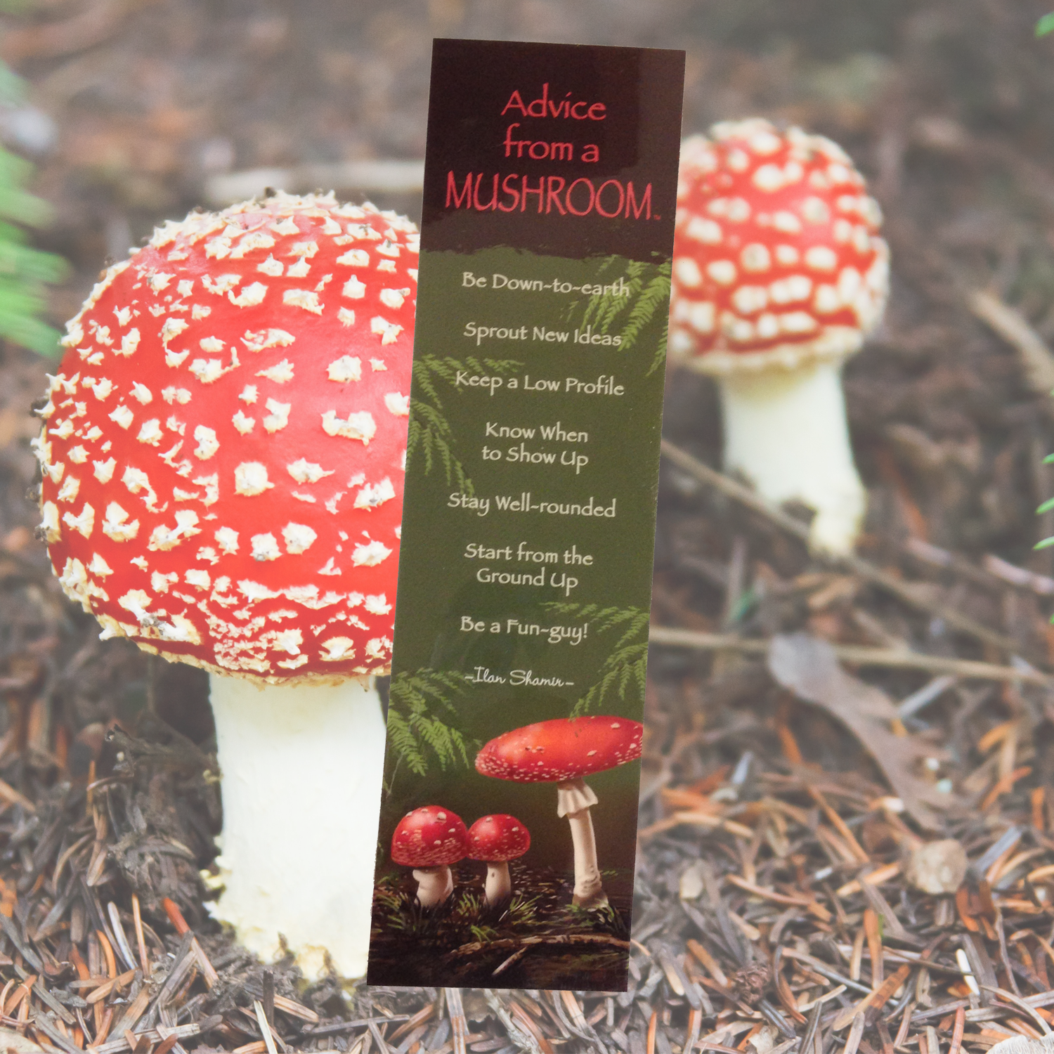 Advice From A Mushroom Bookmark - Toadstool Mushroom (1500x1500), Png Download