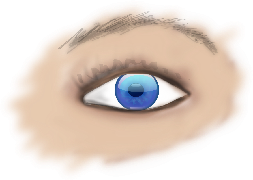 This Free Clipart Png Design Of Human Eye Clipart Has (900x655), Png Download