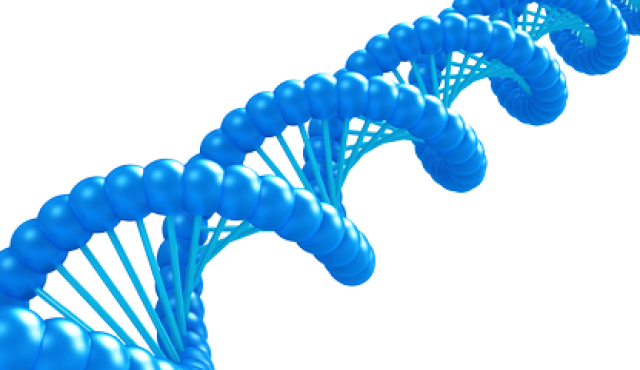 Dnacomputing - Transparent Gif Of Dna (640x370), Png Download