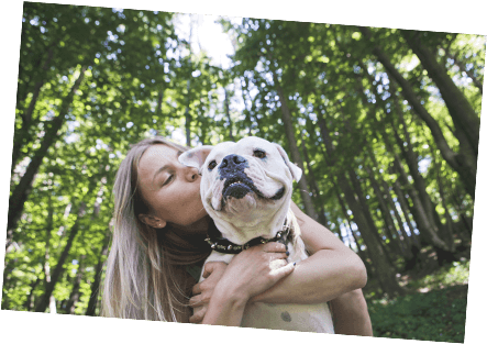 Smiling Pitbull With Healthy Paws Puppy Insurance - Dog (442x320), Png Download