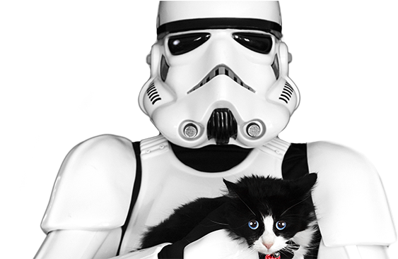 Stormtrooper-geekie - Meme (650x366), Png Download