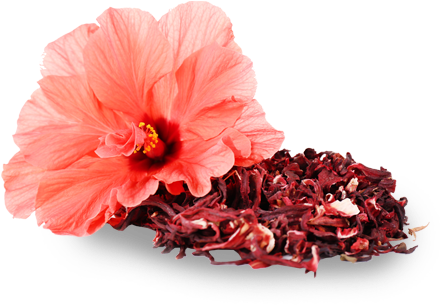 Onions - Rosemallows (450x348), Png Download