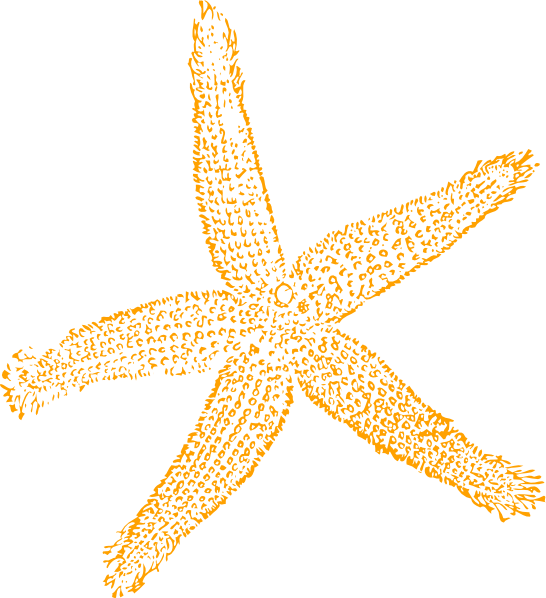 Best Free Images Clipart Starfish - Fish Clip Art (546x598), Png Download