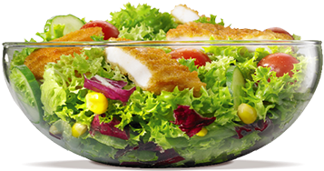 Chicken As Food (500x540), Png Download