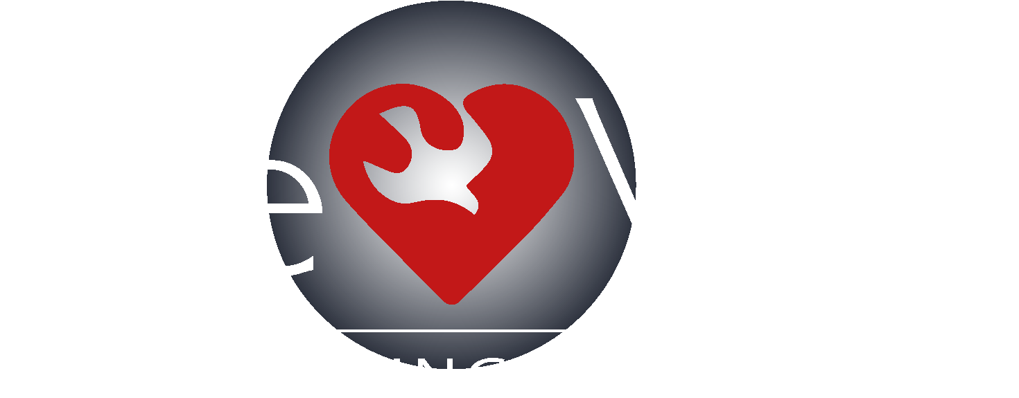 Sunburst Web Vector Logo Counselcenters - Web Arrow (1500x600), Png Download