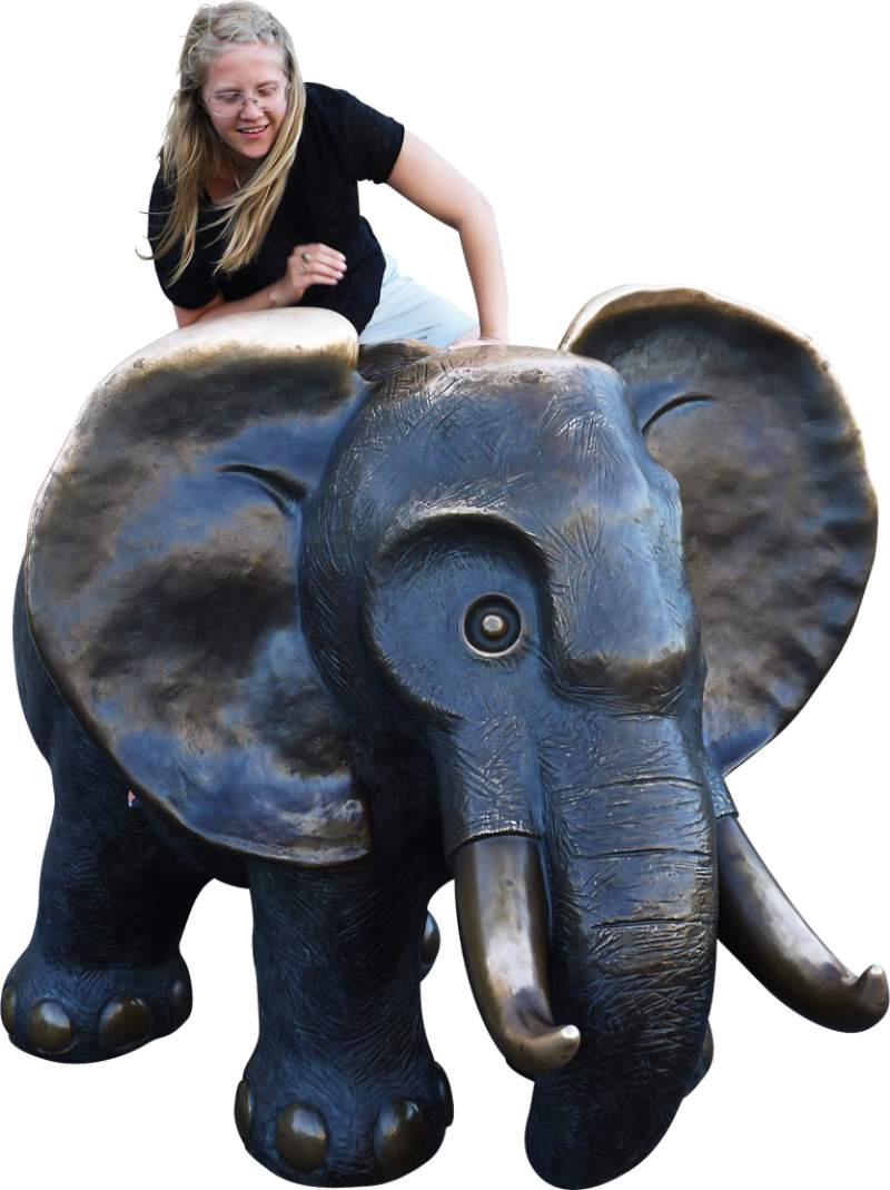 Sitting Elephant Png Image - Elephant (767x1024), Png Download