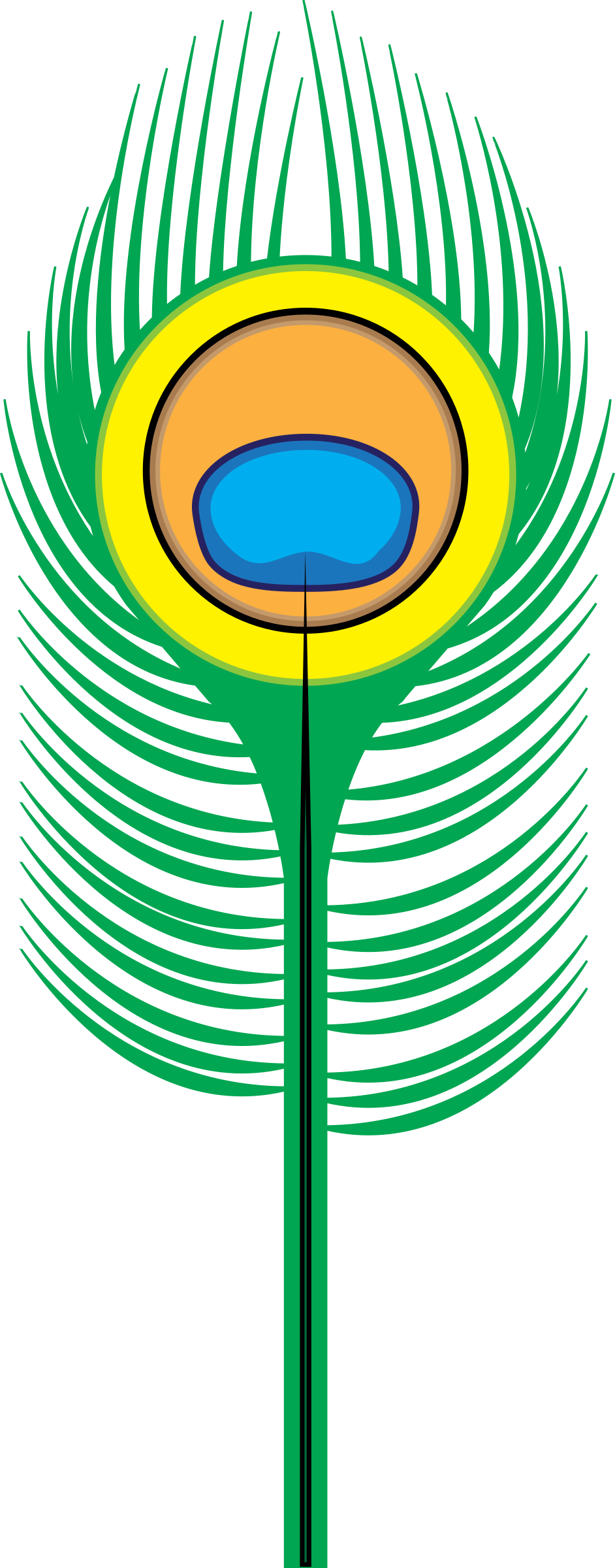 How To Set Use Peacock Feather Clipart (353x900), Png Download