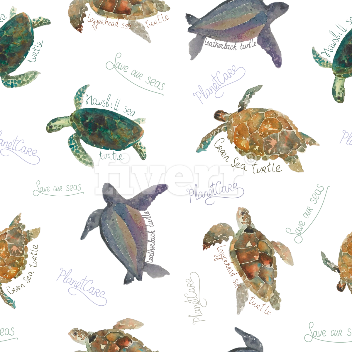 Hawksbill Sea Turtle (1200x1200), Png Download