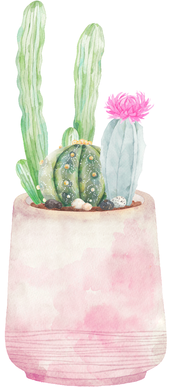 Hand-painted Three Varieties Of Cactus Png Transparent - Cactus (650x1369), Png Download