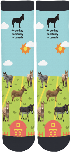 The Donkey Sanctuary Of Canada Crew Socks - Sock (285x600), Png Download