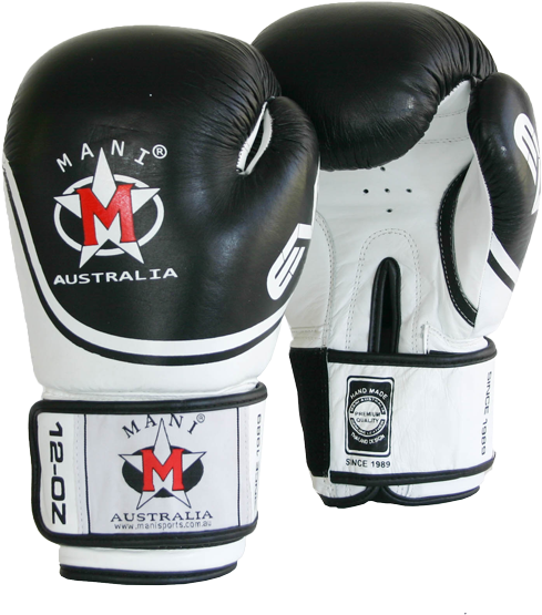 Boxing Gloves - Leather Evo Boxing Gloves Weight: 10 Oz (600x600), Png Download