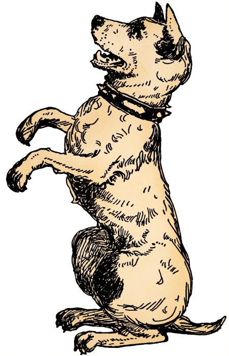 Free Printable Paper Begging Dog - Dog Clipart (451x700), Png Download