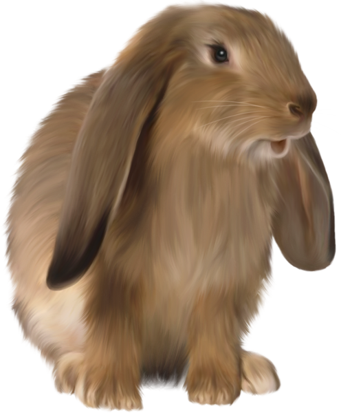 Brown Rabbit Png Free Download - Rabbit (496x600), Png Download
