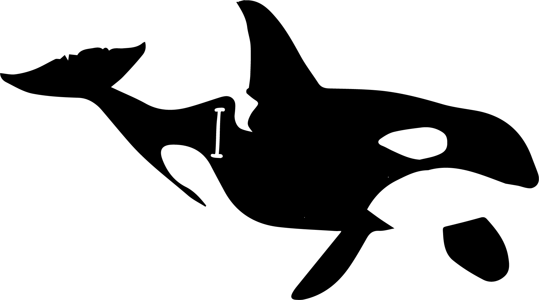 Sperm Whale Clipart Regular - Killer Whale (1793x1001), Png Download