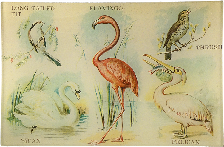 John Derian (800x800), Png Download