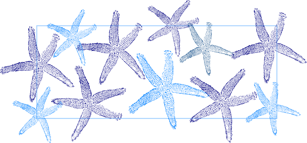 Blue Starfish Svg Clip Arts 600 X 279 Px (600x279), Png Download