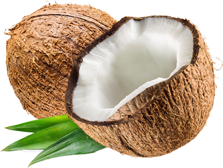 Coconut Water - Transparent Background Coconut Png (747x747), Png Download