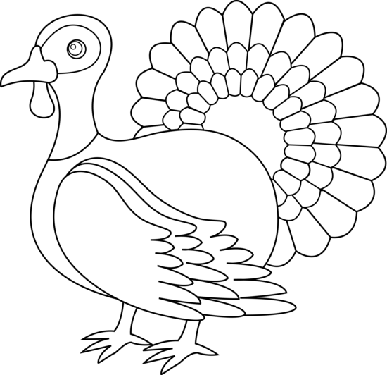 Turkey Line Art - Turkey Clipart Black And White (550x532), Png Download