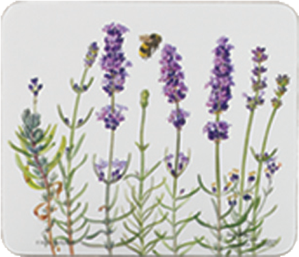 89346 Medium Tray Ilovelavender, 18547 Coaster Ilovelavender - Lavender Table Mats Uk (500x500), Png Download