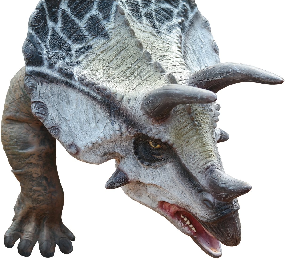 Dinosaur Png - Dinosaur (815x720), Png Download