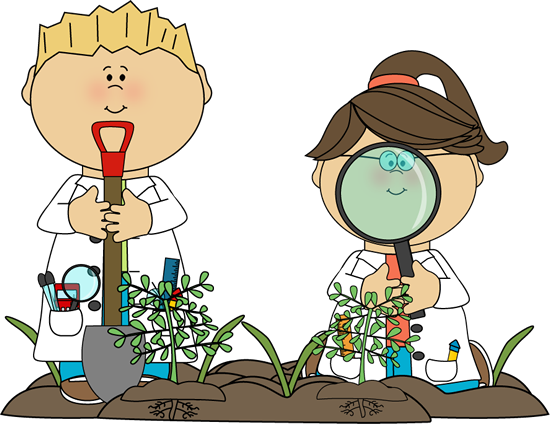 Nature Clipart For Kid Png - Science In Primary School (550x424), Png Download