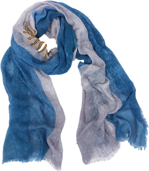 Classic Scarf - Argentina - Scarf (532x600), Png Download