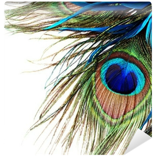 Peacock Feather Wall Mural • Pixers® • We Live To Change - Transparent Background Peacock Feather Png (400x400), Png Download
