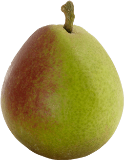 Seckel - Asian Pear (490x450), Png Download